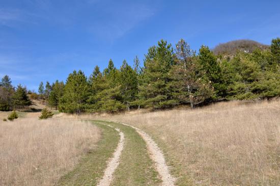 Sur le pré de la Butte de l'Aigle