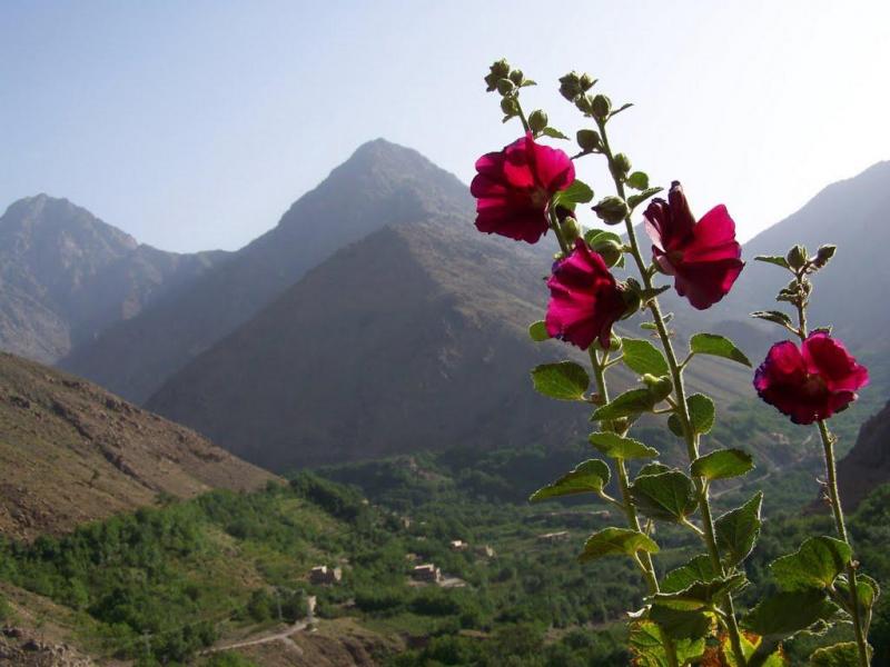 La vallée d'Imlil vue de la terrasse du gîte Dar Ait Souka