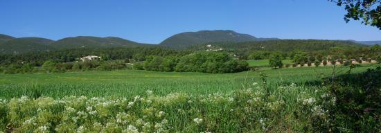 La plaine de Cucuron (au loin le Mourre-Nègre)