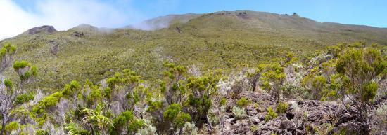 La montée sur le volcan depuis Basse Vallée