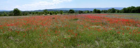 La plaine du Luberon