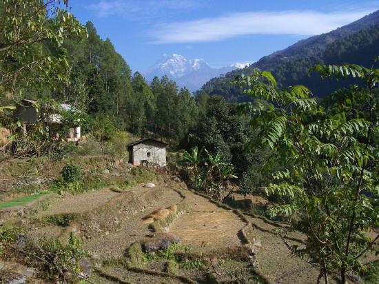 La campagne népalaise avec le Gaurisankar et le Melungtse