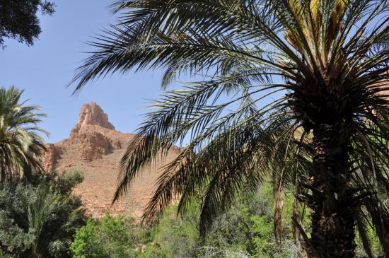 Dans les gorges d'Ait Mansour