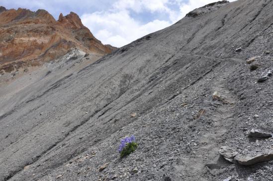 Arrivée au Yogma La (4710m)