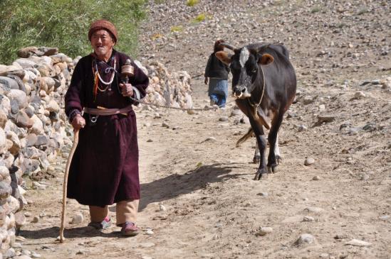 En route pour le monastère de Phuktar...