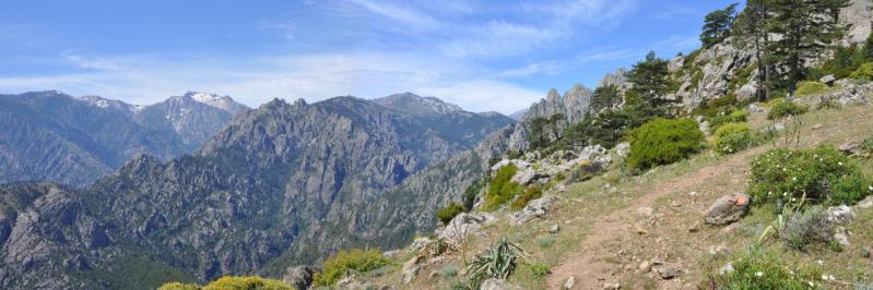 La vallée du Tavignano