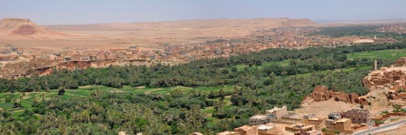 L'oasis de Tinerhir à la sortie des gorges de Todghra