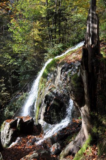 Cascade du Hohwald