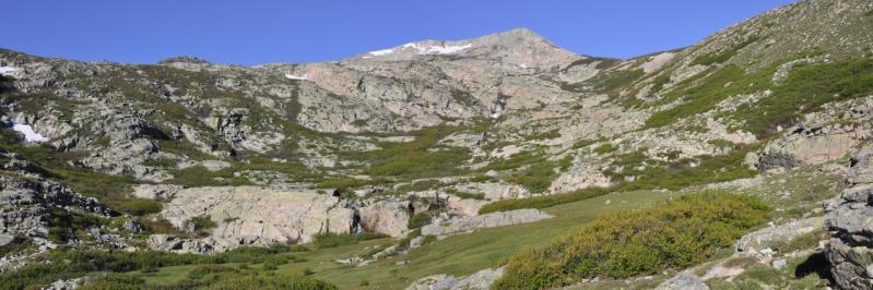 Du côté de la bergerie de Binadelli