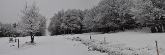 Le chaume des Trois-Fours (Alsace)