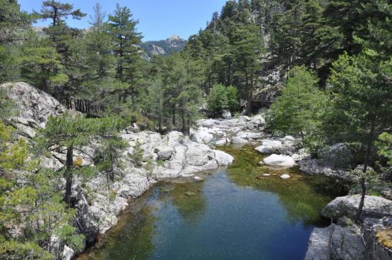 La vallée du Tavignano