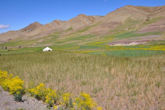 Le plateau d'Anemzi