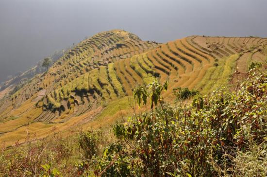 Campagne entre Bulung et Jagat