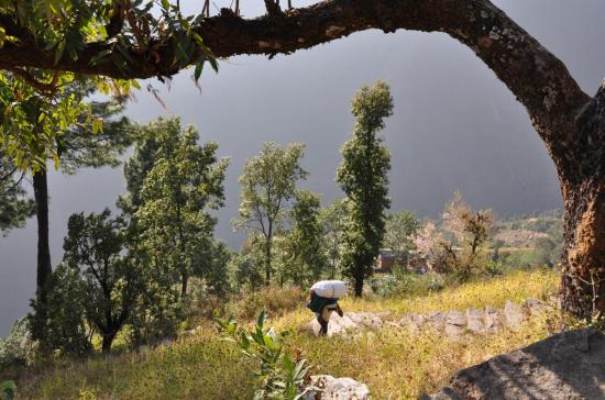 Dans la montée de Jagat à Tasinam