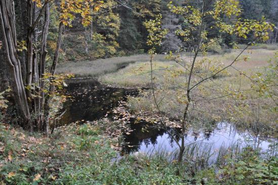 Le lac du Devin