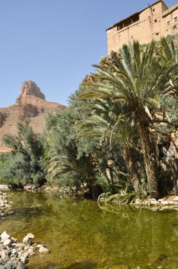 Dans les gorges d'Ait Mansour