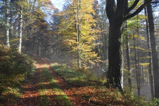 A l'approche du col du Bonhomme