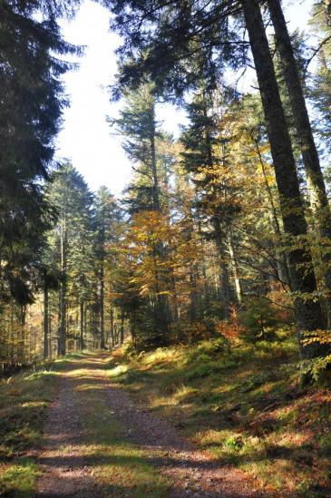 A l'approche du col du Bonhomme