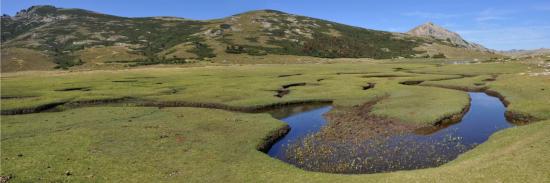 Les pozzines du lac de Nino