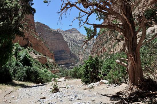 Dans les gorges de l'assif Melloul