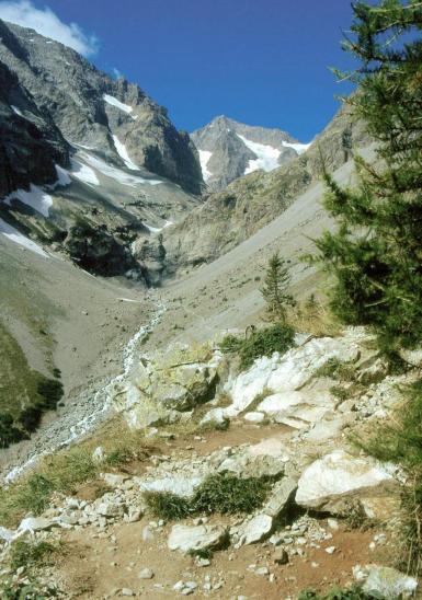 Le vallon de Celse-Nière