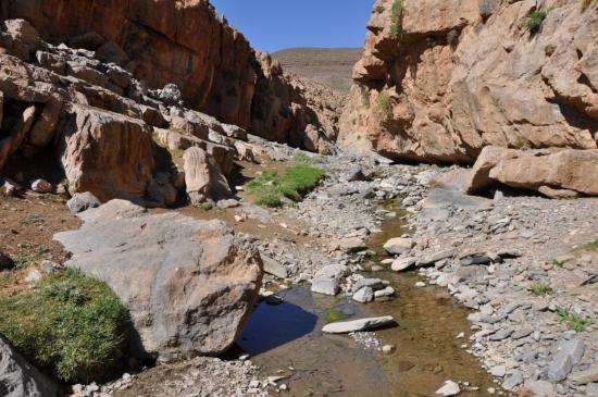 Dans les gorges de Taghia