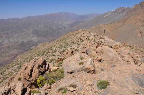 Sur l'épaule E du Ouaougoulzat