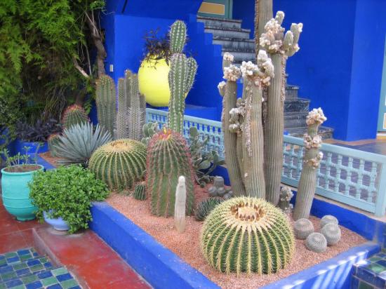 La villa Majorelle à Marrakech