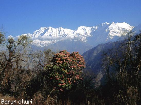 Le Gurja himal vu depuis la crête de Barun dhuri