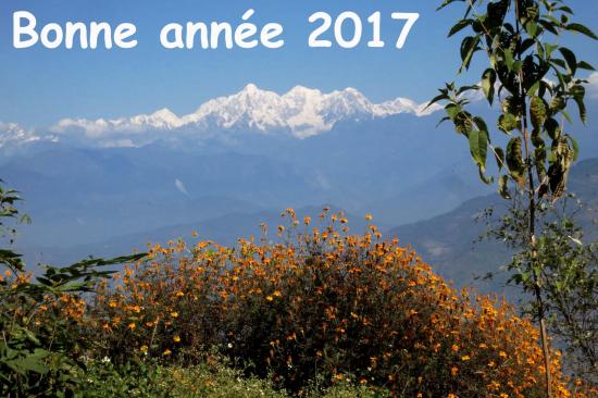 Bonne annee 2017