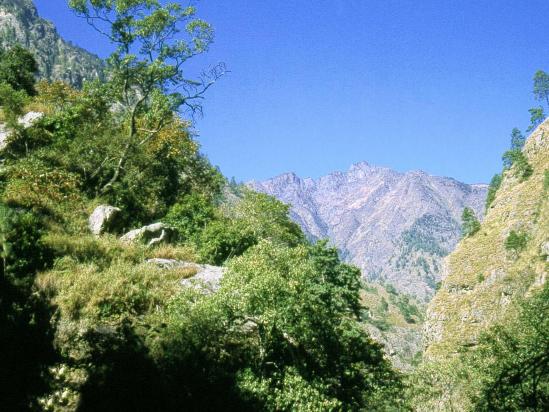 Moyenne vallée de la Budhi gandaki