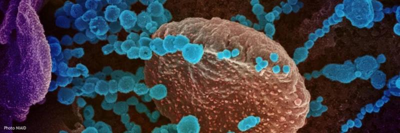 Coronavirus