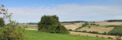 La campagne picarde du côté de Courboin