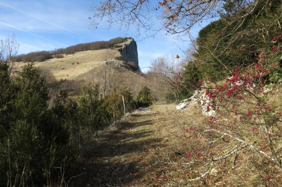 A l'approche de Pierre Chauve