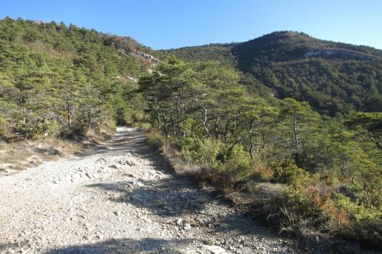 Montée vers le Serre Chauvin