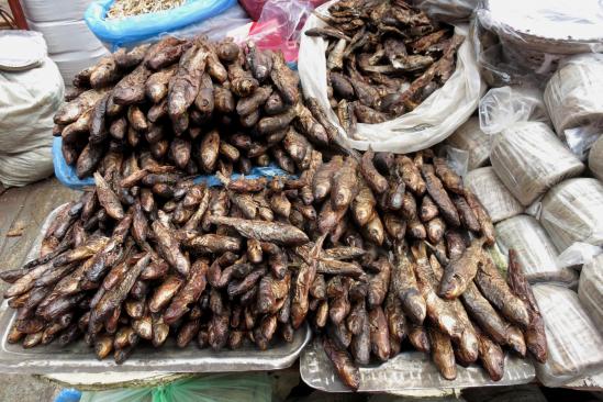 Du poisson (frais ?) sur les étals des marchés de Kathmandu