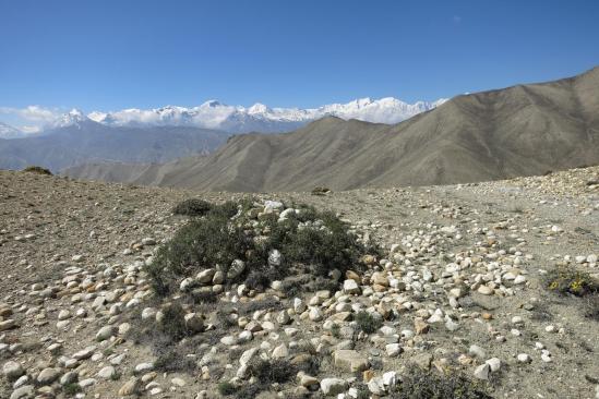 Sur les crêtes entre Ghemi et Ghilling