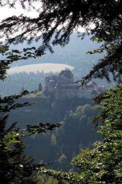 Le château de Joux