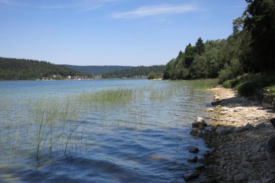 Un peu plus loin le long du lac de Saint-Point