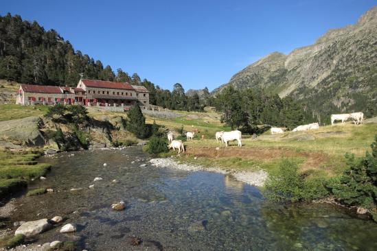 Pla de Loubosso (refuge Wallon)