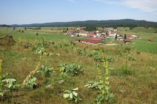 Arrivée au village des Pontets