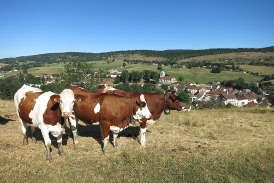 Montée vers Val Foncine