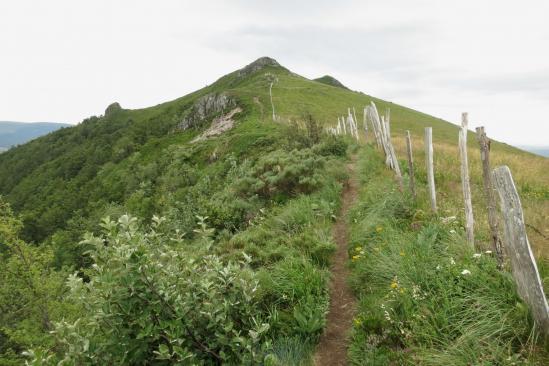 Sur les crêtes à l'approche du Puy de la Poche