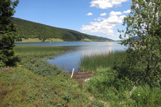 Le lac des Rousses côté écologie...