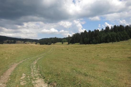 Sur les plateaux à l'approche de Lajoux