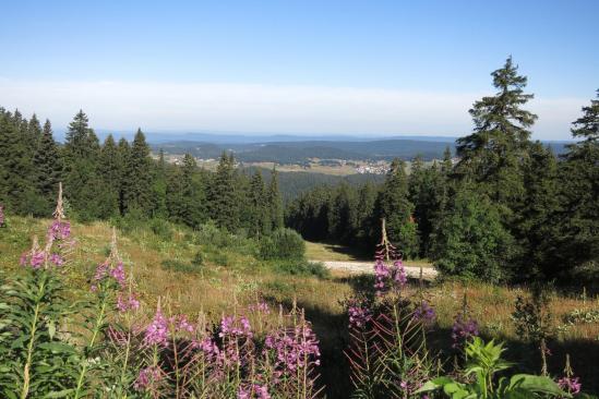 Le panorama depuis le col de la Faucille