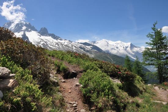 Aiguille Verte et Mont-Blanc depuis Péclerey