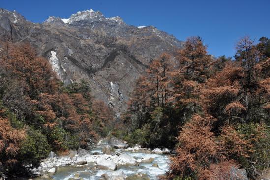 La traversée de la rivière à l'approche de Ghunsa