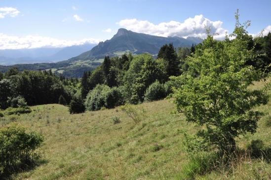 Depuis l'alpage de Sornin, vue sur le Moucherotte