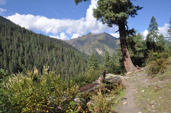 Une descente bien agréable vers la vallée de la Thuli Bheri khola